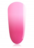 Thermo Gel T2