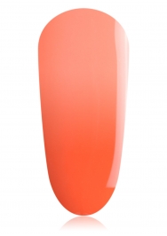 Thermo Gel T3